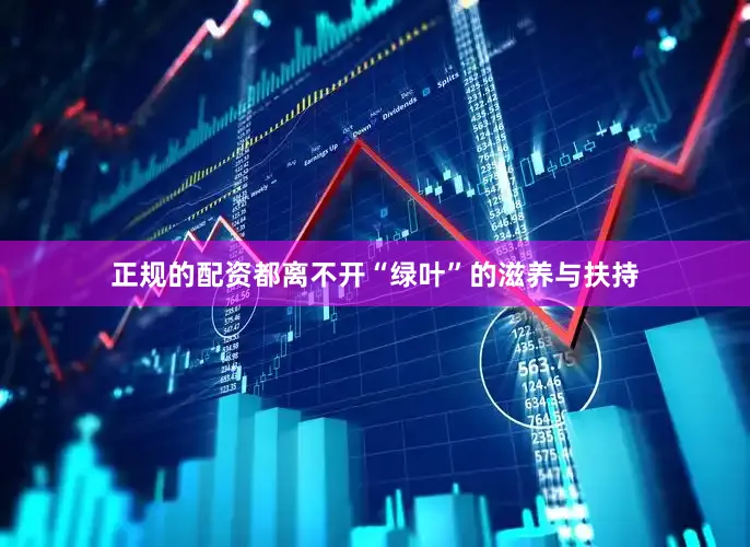 正规的配资都离不开“绿叶”的滋养与扶持