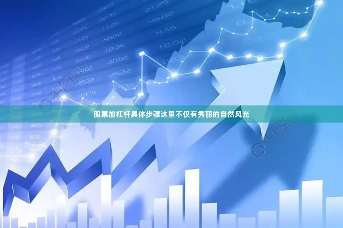 股票加杠杆具体步骤这里不仅有秀丽的自然风光